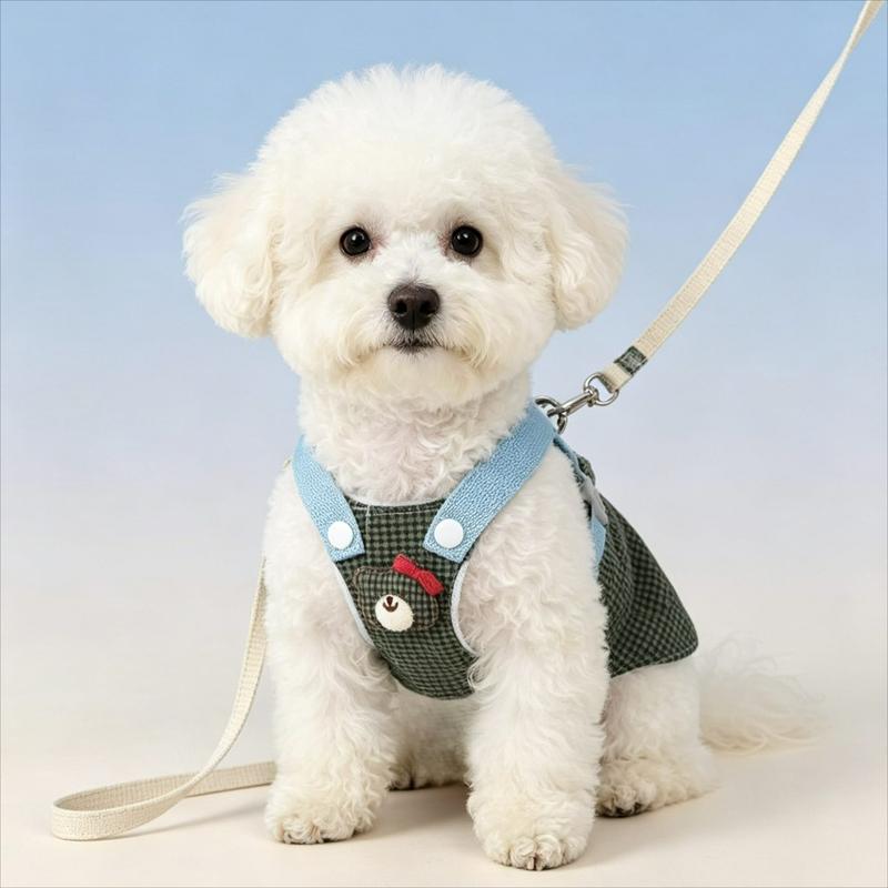 3 Stück/Set niedliches Welpen-Geschirr-Set mit Sonnenhut, bequem und atmungsaktiv, geeignet für Bichon Frise Pudel, Set für Welpen