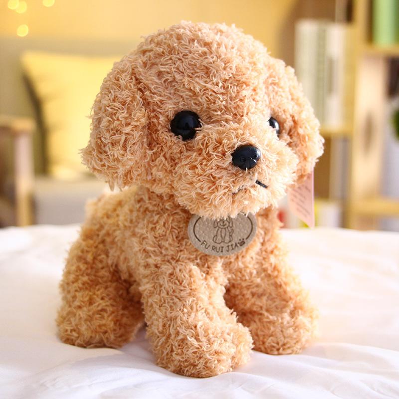 Teddy Dog Plush Toy Doll Puppy Doll Cute Poodle Gift for Children