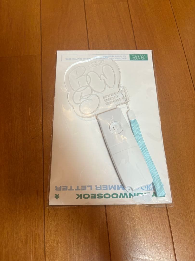 [USED] Price Reduced Byun Woo Seok Byun Woo Seok Korean Fan Meeting LIGHTSTICK Penlight