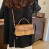 Niche Texture Simple Handbag Women'S Summer Solid Color Small Square Bag Casual Commuter Messenger Shoulder Bag