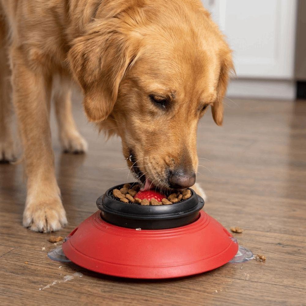 Anti-Choking Dog Licking Bowl Non-Slip Base Slow Feeder Dog Bowl Pet Feeding Bowl Puppy Training
