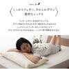 Emur Hotel Specifications Feather Pillow Down 50 x 70 cm Made in Japan "Rich Pillow" Approx.