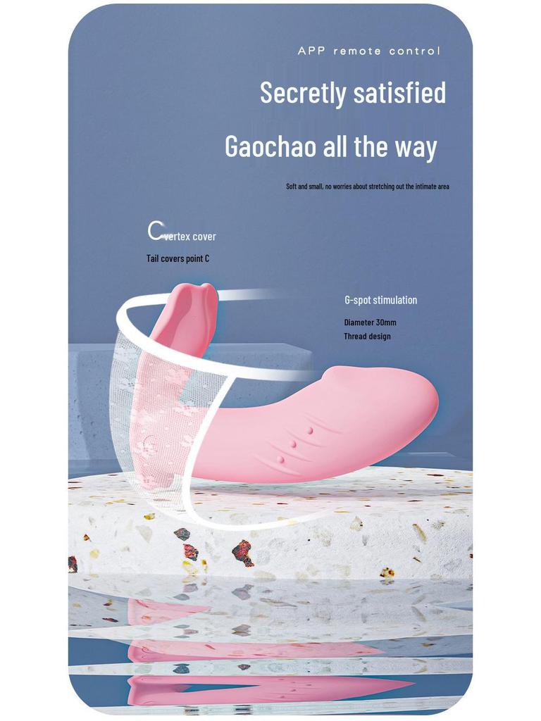 Remote Control Vibrating Egg & Dildo - Adult Wearable Female Stimulator