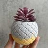Handmad Creative DIY Succulents Flowerpot Silicone Mold Fish Tank Craft Storage Box Making Plaster Resin Candle Jar Casting Mold
