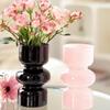 Large Light Luxury Glass Vase for Living Room: Hydroponic Plant & Flower Arrangement