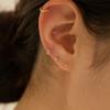 14k BB Bear Piercing (14k Gold) LPFi26