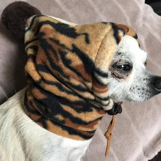 

Утепленная шапка для домашних животных, износостойкая плюшевая утолщенная теплая шапка для собак, товары для домашних животных на осень