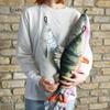Dulton Fishes Salmon 65 Fish Cushion for Everyday Life Large Body Pillow Marine Life Nordic Salar FISHES Total Length 65cm Lax/Salmon/Salmo Y-0512