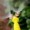 4PCS Copper Irrigation Sprinkler Gold Misting Nozzle Durable Irrigation Sprayer  Garden Irrigation