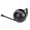 Watering Can for Outdoor Indoor Plants, Small 1000ML Stainless Steel Watering Pot with   Spout, Removable Nozzle, Metal Water Can for House Plant
