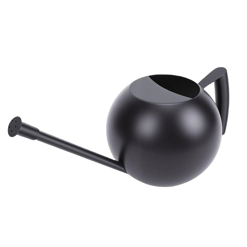 Watering Can for Outdoor Indoor Plants, Small 1000ML Stainless Steel Watering Pot with   Spout, Removable Nozzle, Metal Water Can for House Plant