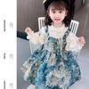 Autumn Baby Girl Lolita Princess Two-Piece Dress Set