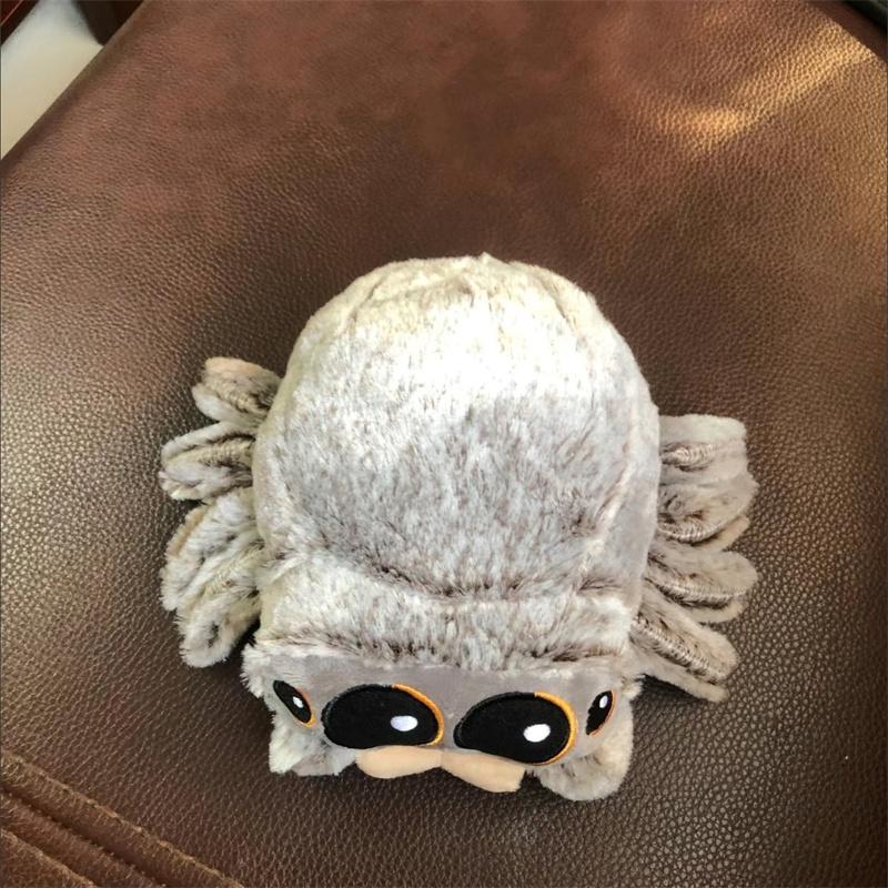Spider Plush Toy Doll Doll Children's Gift