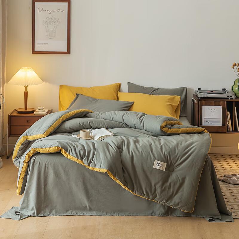 

40S Washed Cotton Xinjiang All-Season Quilt