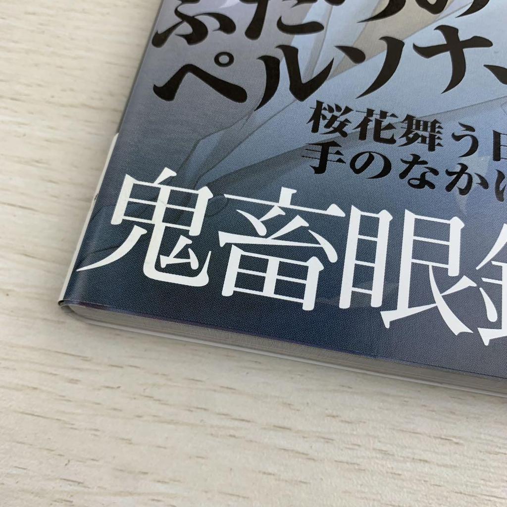 [USED] Devil Megane R Official Visual Fan Book First Edition with Obi