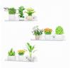 No Drill Window Shelf Plant with Suction Cup And Protective Edge, Clear Acrylic Floating Sturdy Vertical Garden Display Shelf, Wall Mounted