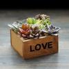 2pcs Multifunctional Wooden Succulent Flower Plant Pot Storage Box Organizer