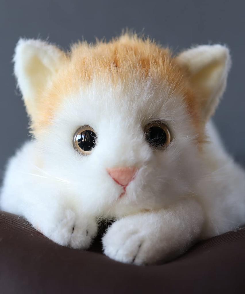 Peluche de gato realista fabricado en Japón con cinta de etiqueta infantil de 58 cm (ojos marrones tigre L) Regalo de cumpleaños de gato real presente celebración