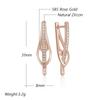 Innovative Design Natural Zircon Drop Earrings For Women  Rose Gold Color Romantic Gift Fashion Daily Fine Jewelry