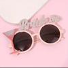 Whimsical Plastic Wedding Glasses For Brides Grooms Guests Playful Reception Eyewear Durable Comfortable Party Costume Accessories