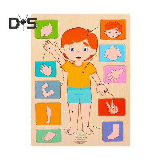 

Головоломка «Части тела» Игра-головоломка «Соответствие» Обучающая головоломка «Структура человеческого тела» Анатомия Доска-головоломка для детей Малыши Деревянная обучающая игрушка STEM Boy A