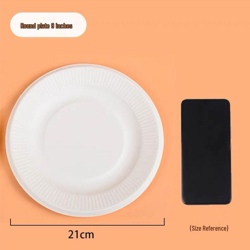 Hand-Painted DIY White Paper Plates for Kindergarten Arts & Crafts