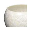 Kyoto ware Kiyomizu ware Ceramic kiln Tea bowl Flower crystal (white) KTA158-02