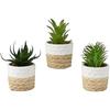 Plante Succulente Artificielle - KSD - 9 X 14 Cm - Beige, Blanc, Vert - Décoration Intérieure Sans Entretien
