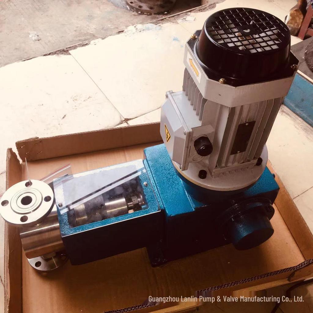 DZ-X2/50 304 Stainless Steel Acid & Alkali Resistant Plunger Metering Pump