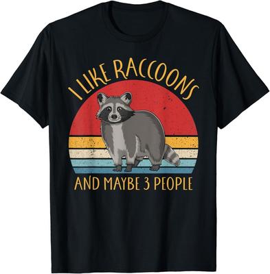 Funny Raccoon Lover I Like Raccoons And Maybe 3 People Gift Unisex T-Shirt