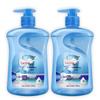 Diao Brand Sea Salt Hand Soap