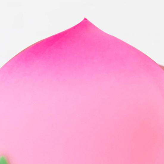 Juicy Peach Stress Relief Toy Simulation Pink Yellow Peach Squeeze Toy Decompression Fruit Shape Sensory Fidget Toy