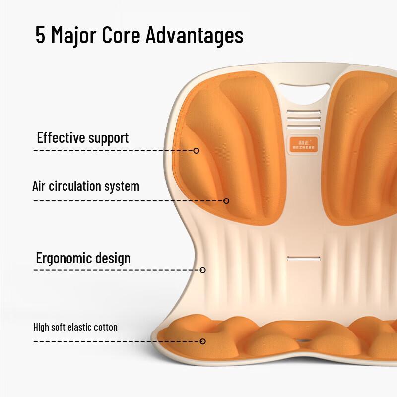 HEZHENG Lumbar Support Cushion CN plug (adapter included)