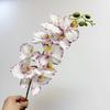 9 Head Latex Butterfly Orchid Artificial Flowers Hand Feeling Fake Flowers RoomTable Decoration Wedding Arrangement