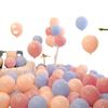 "Non-toxic Macaron Color Balloons - Multiple Colors for Event Decoration"