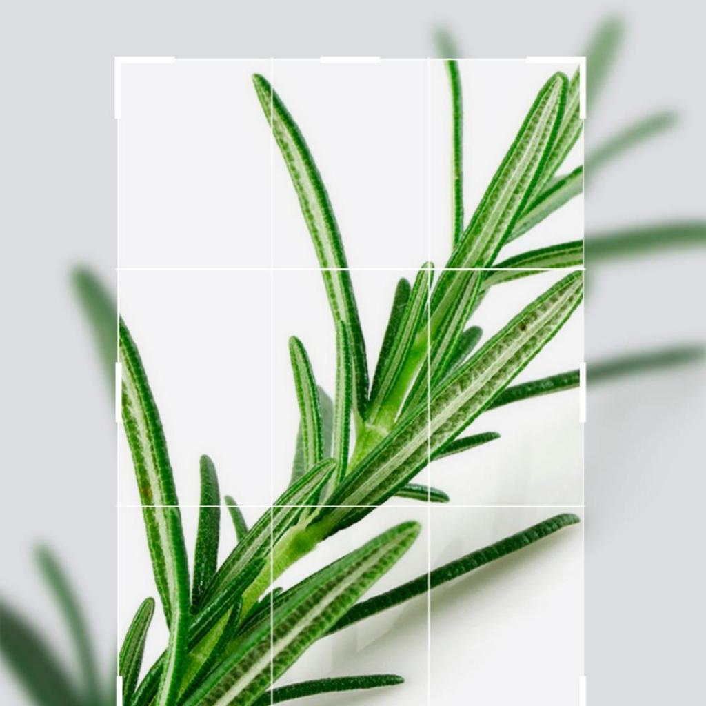 Mediheal Teebaum Beruhigender Ampullenreiniger (Derma) 200+50ml (250ml)