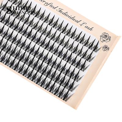 Professionelles Augen-Make-up, einzelne Wimpern, Cluster-Spikes-Wimpern, zarte, natürliche, flauschige falsche Wimpern