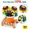 ZURU Max Premium Garden Pot Miniature Block Capsule Authentic Plants Sunflower, 151-Piece Collection, Toy,