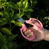 Pink Pruning Tools Blue Garden Scissors Hand Cutter Garden Pruning Shears  for Flowers Branches