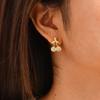 New Chic White Zircon Cherry U-shaped Earrings Gold Plated Stainless Steel Women Earrings Charm Fashion Jewelry