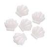 10pcs/lot Jelly Color Shell Shape Acrylic Beads Necklace Loose Spacer Beads For DIY Jewelry Making Bracelet Handemade Findings