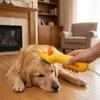 Portable Dog Electric Hair Brush Adjustable Speed Pet Grooming Comb Pet Hair Dryer  Pet Care