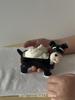 Creative Schnauzer Cute Cartoon Puppy Ceramic Incense Burner Ornaments Ins Style Storage Decorative Ornaments