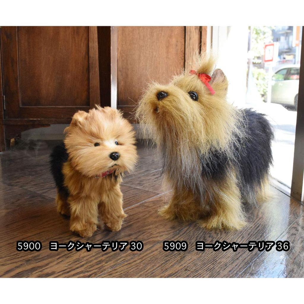 HANSA Yorkshire Terrier No. 5900