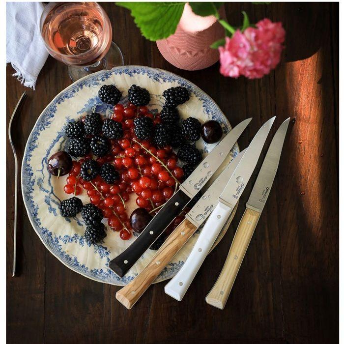 Opinel lot de 4 couteaux de table, mix