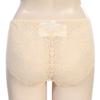 BARBARA Skin Lace Brief Abp4448 