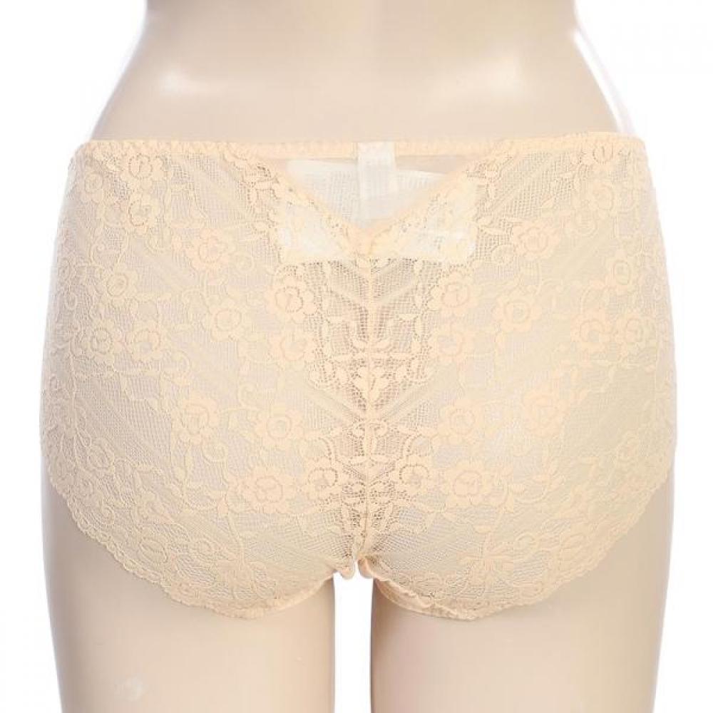 BARBARA Skin Lace Brief Abp4448 