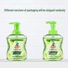 Water Guard Foaming Hand Wash - Sunny Grape Scent