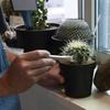 Dulton Botany Metal Brush Plants will fall in love with the cool stainless steel design BOTANY Tornado Brush with Pipe Convenient for Plant