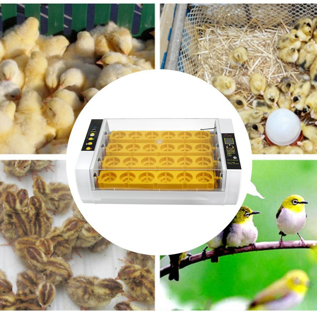 60W 24 Egg Newest Farm Incubator Automatic Chicken Egg Incubator Hatchery Poultry Brooder Equipment